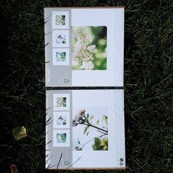 💥Free w/Purchase New Ikea TRILLING Flower Posters, set of 3 - Picture 2 of 6